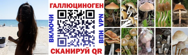 Галлюциногенные грибы Psilocybine cubensis как найти закладки Кумертау